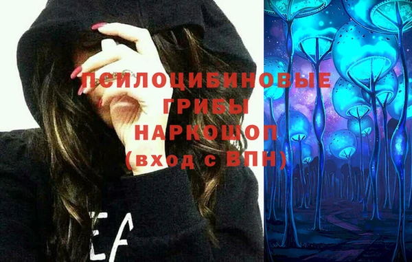 прущая мука Кодинск